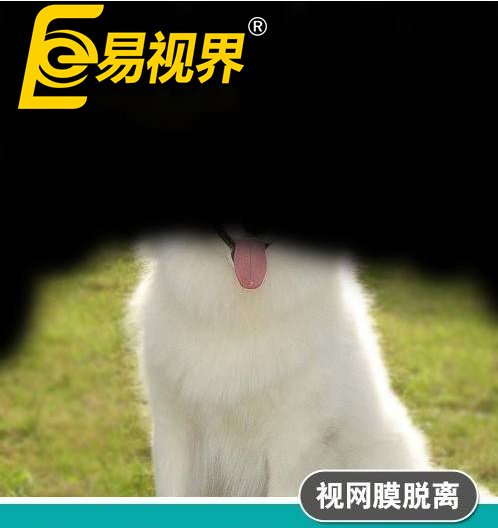 不一樣的眼病，不一
                </div>
                <div   id=