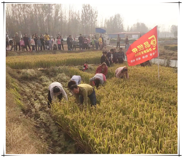 易視界秋季水稻莊園自駕游活動圓滿結(jié)束