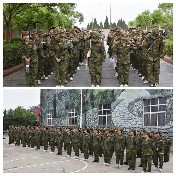 易視界2023年5月拓展訓(xùn)練進行中